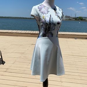 COPY - Ted Baker dress